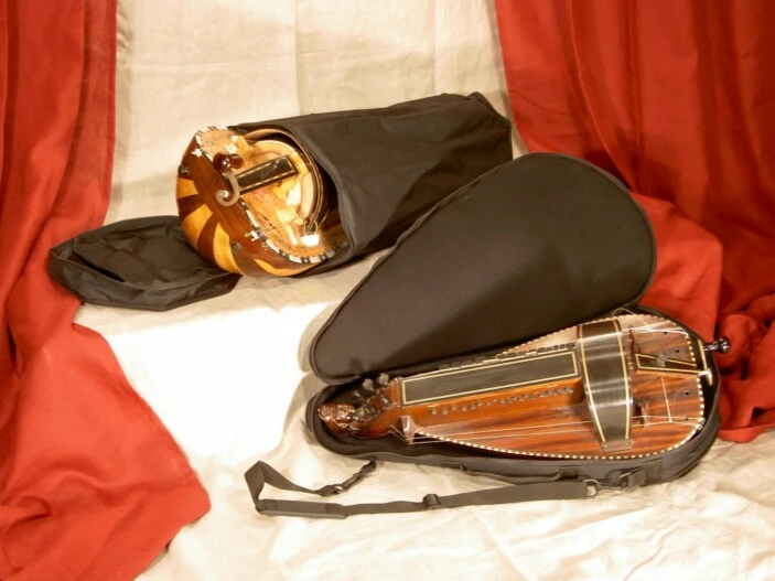 padded and 8-sided gigbag